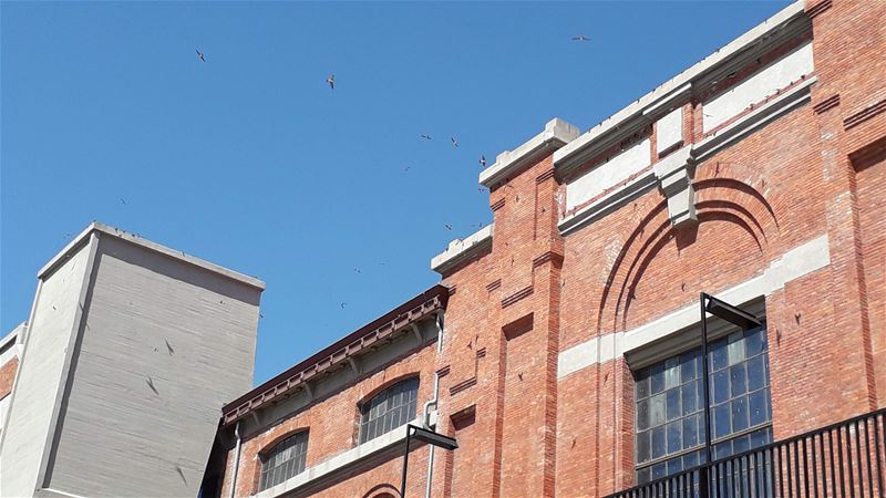 Vakantiegroeten uit Heusden-Zolder