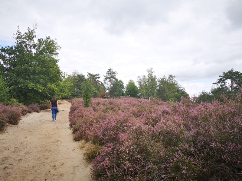 Vakantiegroeten uit Heusden-Zolder