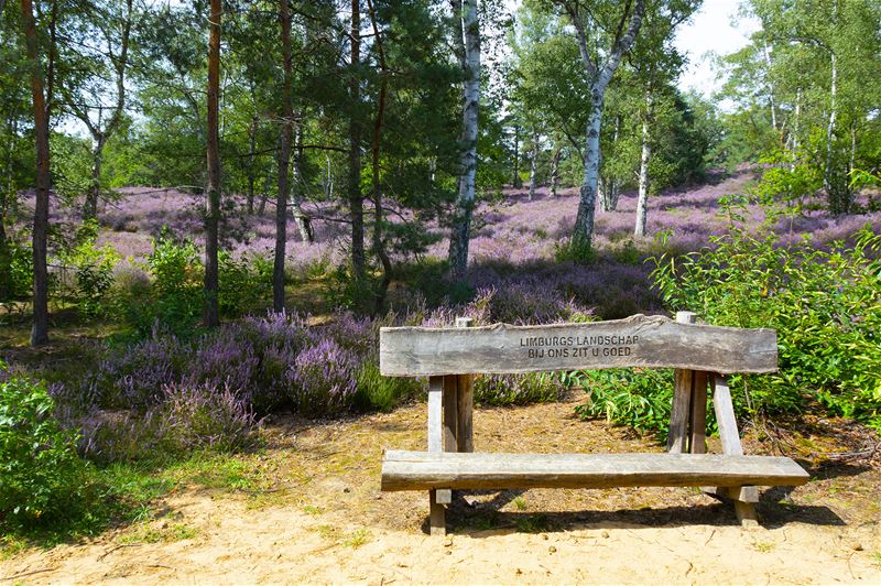 Vakantiegroeten uit Heusden-Zolder