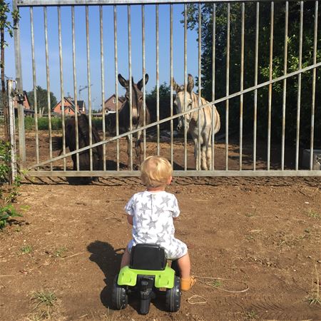 Vakantiegroeten uit Heusden-Zolder