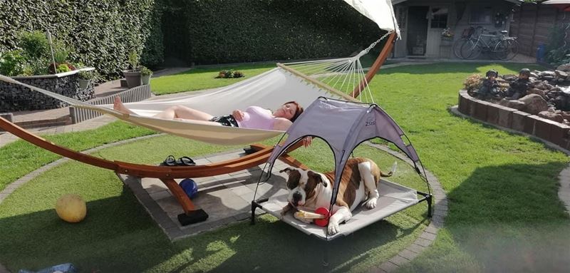 Vakantiegroeten uit Heusden-Zolder