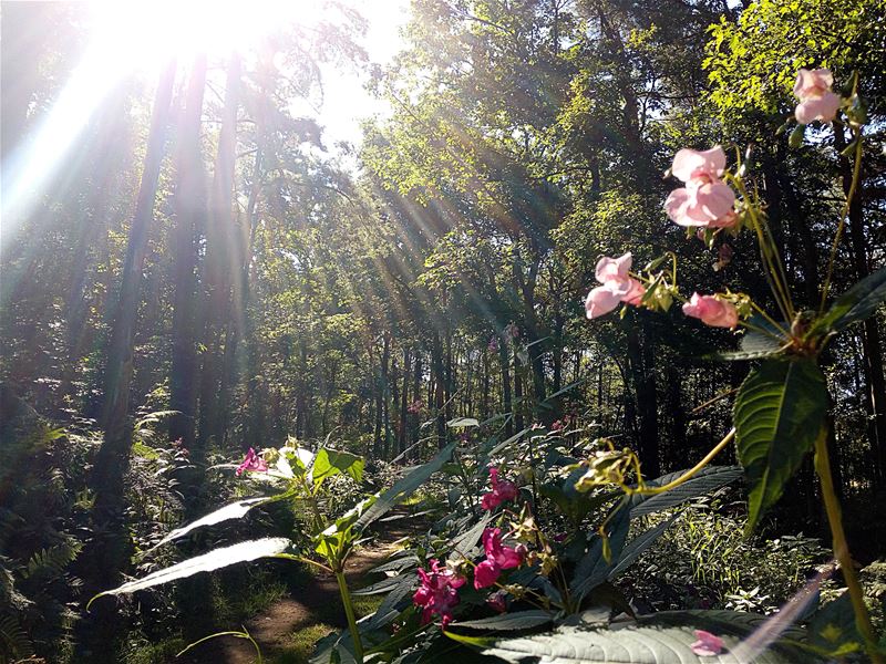 Vakantiegroeten uit Heusden-Zolder