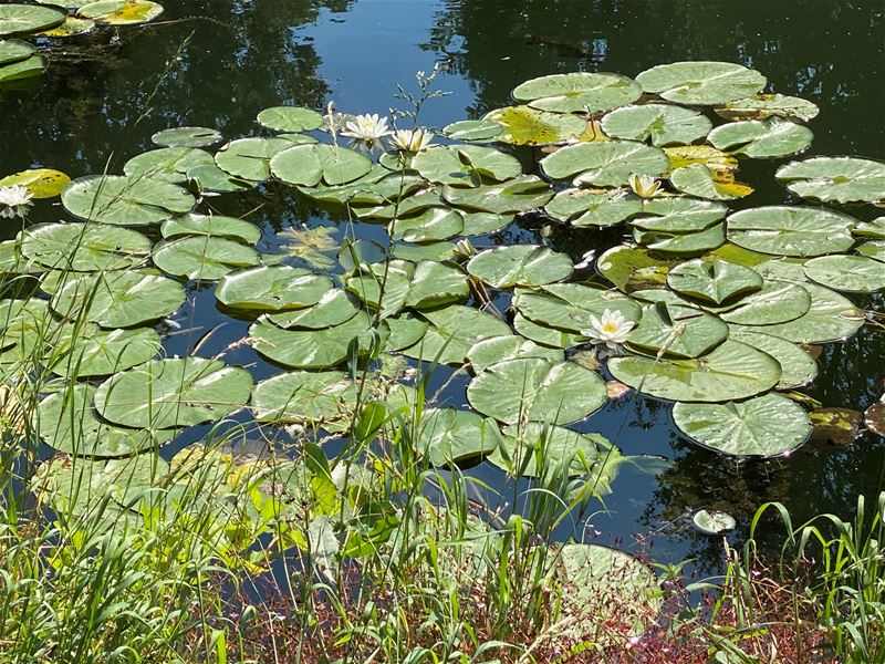 Vakantiegroeten uit Kerkhoven