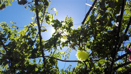 Vakantiegroeten uit Kusadasi