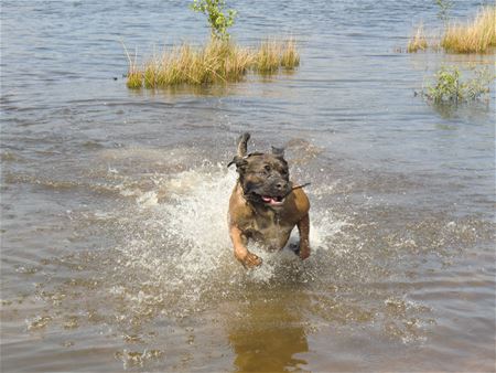 Vakantiegroeten uit Lanaken
