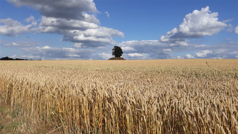 Vakantiegroeten uit Landen