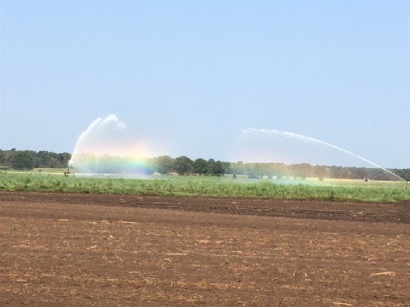 Vakantiegroeten uit Limburg