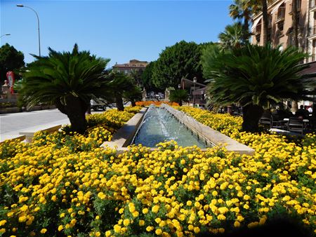 Vakantiegroeten uit Murcia