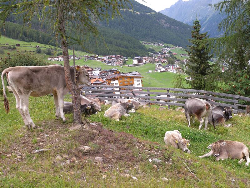 Vakantiegroeten uit Oostenrijk