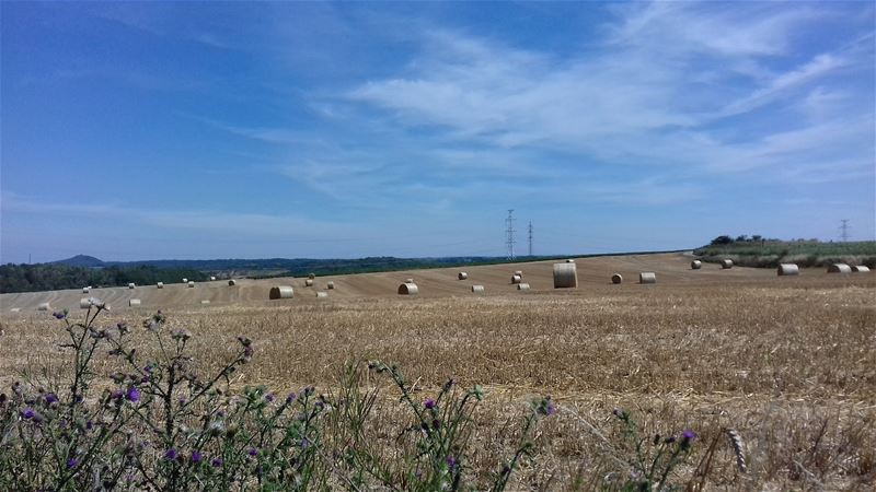 Vakantiegroeten uit Riemst