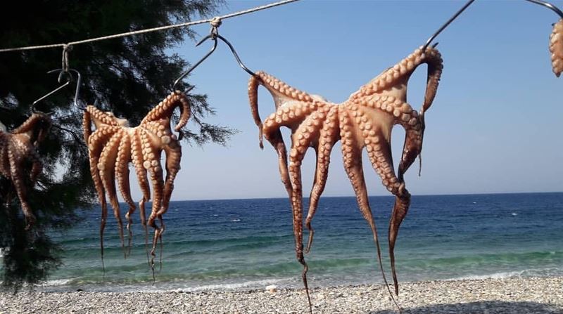 Vakantiegroeten uit Samos