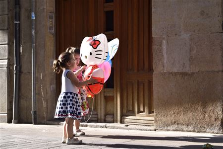 Vakantiegroeten uit Sangüesa