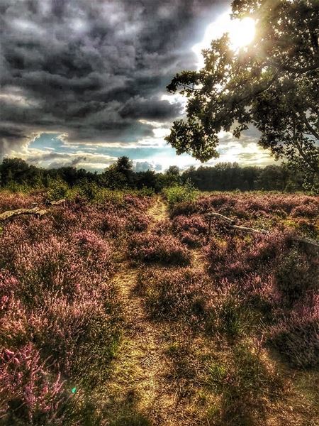 Vakantiegroeten uit Tessenderlo