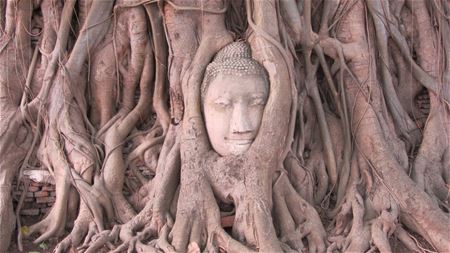 Vakantiegroeten uit Thailand