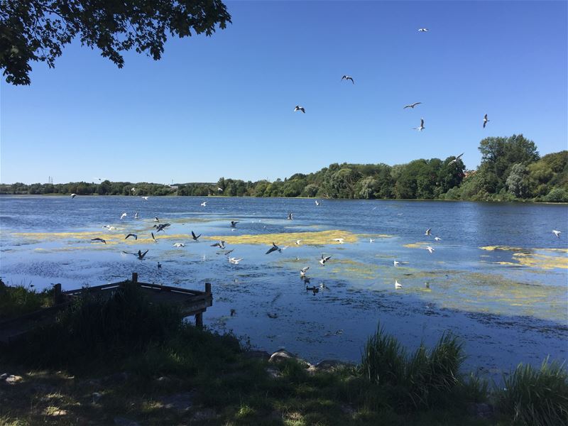 Vakantiegroeten uit Valenciennes