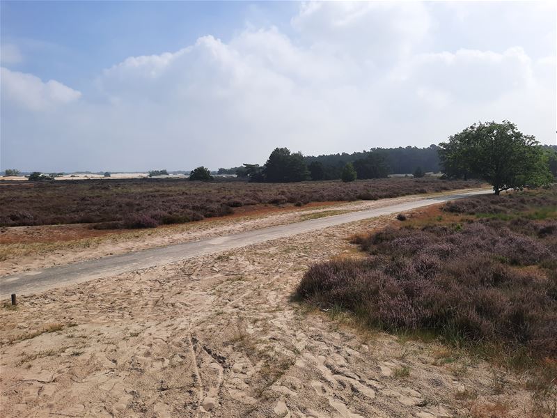 Vakantiegroeten uit Vught