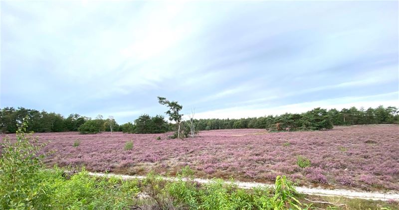 Vakantiegroeten uit Zonhoven