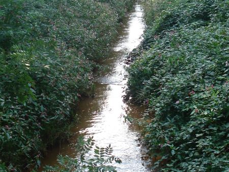 Vandaag begint de herfst