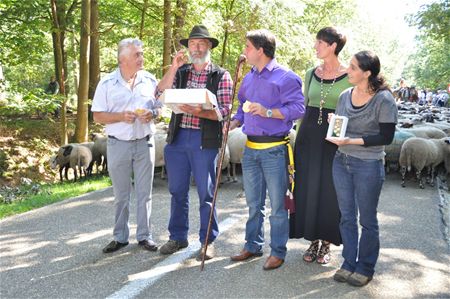 Veel geblaat en nog meer wol