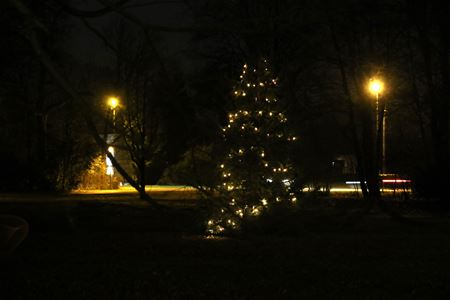 Verlichting in kerstboom Meylandt brandt