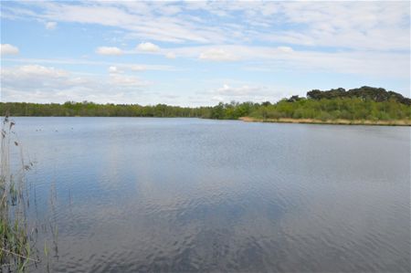 Vier uitdagingen voor De Wijers