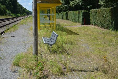 Volop onkruid op de treinstopplaatsen