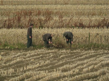 Vossenstropers op heterdaad betrapt