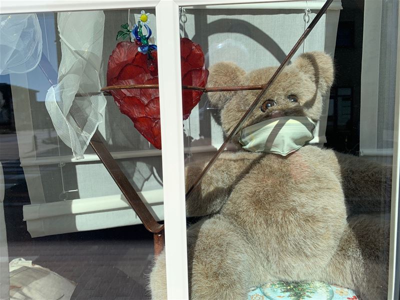 Vreemde tijden ook voor de beren