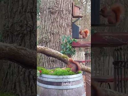 Vrolijke vrienden in de tuin