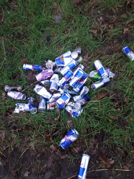 Waarvan krijg je vleugels?