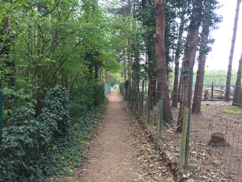 Wandelen door de Zandbergstraat