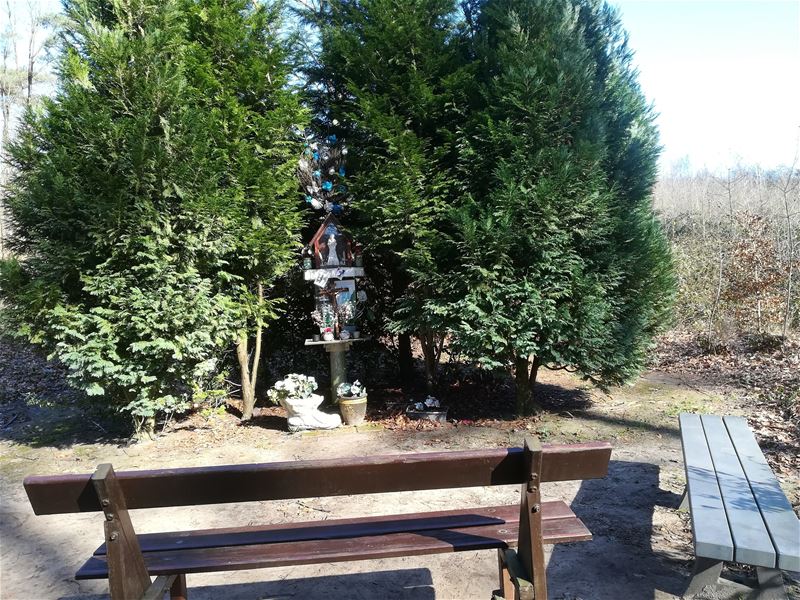 Wandelen in HZ: Groene wandeling Eversel-Ubbersel