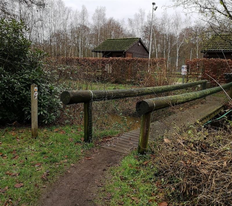 Wandelen in HZ: Viversel-Bolderberg
