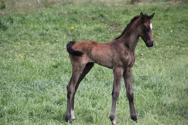 Weer een blijde gebeurtenis