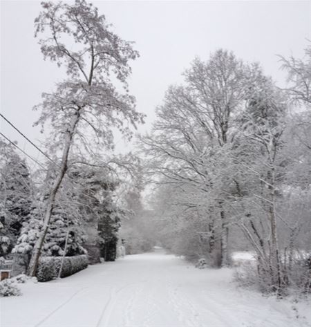 Weg naar de Grauwe Steen is wit
