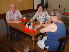 Wie wil leren bridgen?