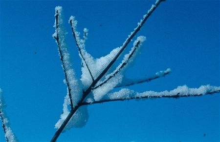 Winter is nog niet voorbij