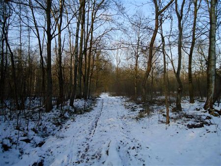 Winterrust in De Stukken