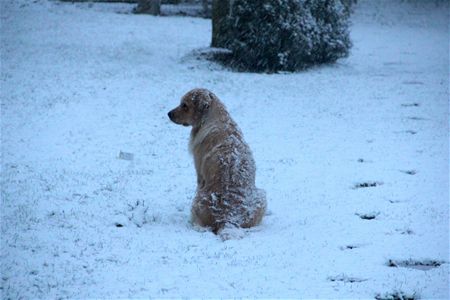 Woef, wat is dit fijn