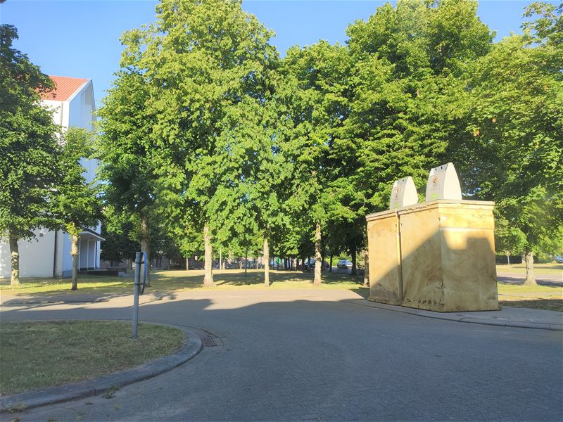 Wonen er zulke grote mensen in Boekt?