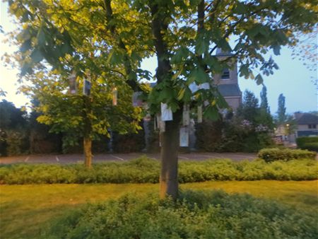 Worden wij een boekendorp?