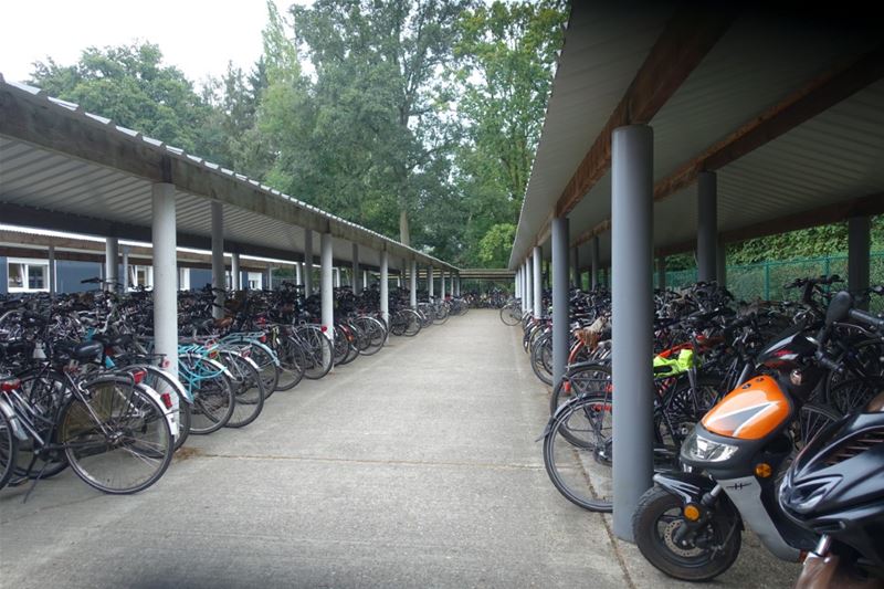 Zo kan het ook: Sint-Franciscuscollege