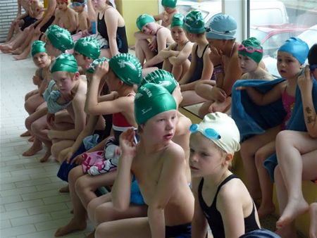 Zolderse Dolfijnen doen het goed op Splash