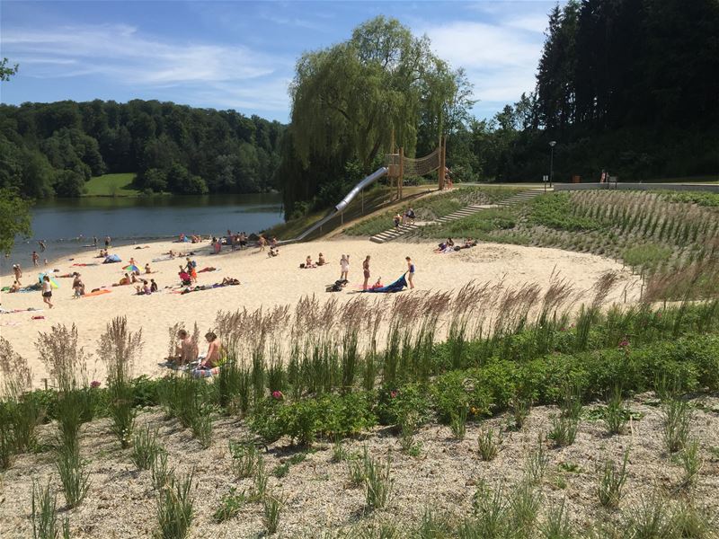 Zomergroeten uit Bad Arolsen