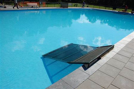 Zondag opnieuw zwempartij voor honden