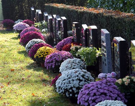 Zonovergoten bloemenzee op kerkhoven
