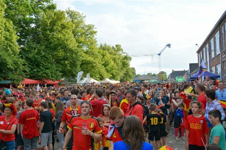 Zowel politie- als privé-bewaking bij EK