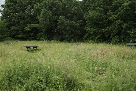 Zullen we even picknicken?