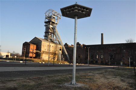 Zwaluwtorens zijn leeg gebleven