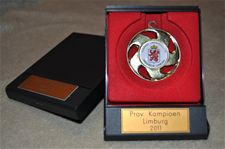 Zwemmers schitteren op Limburgs kampioenschap